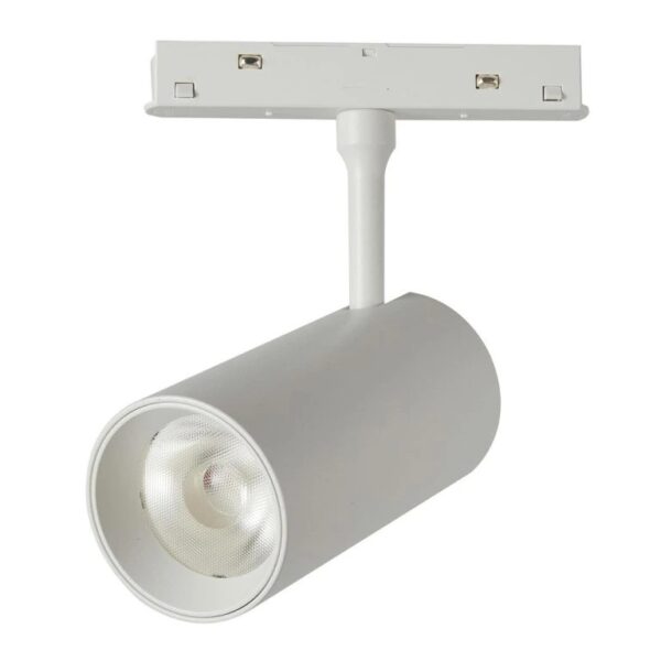 D65 Dual White 24V 24W