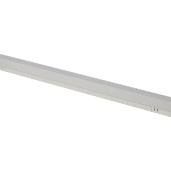 L600 Dual White 24V 24W