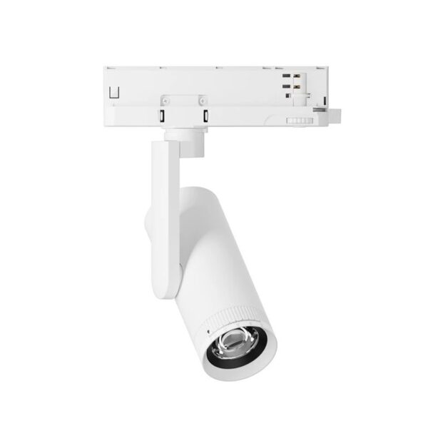 D55 Dual White 24v 18w 10° 55°